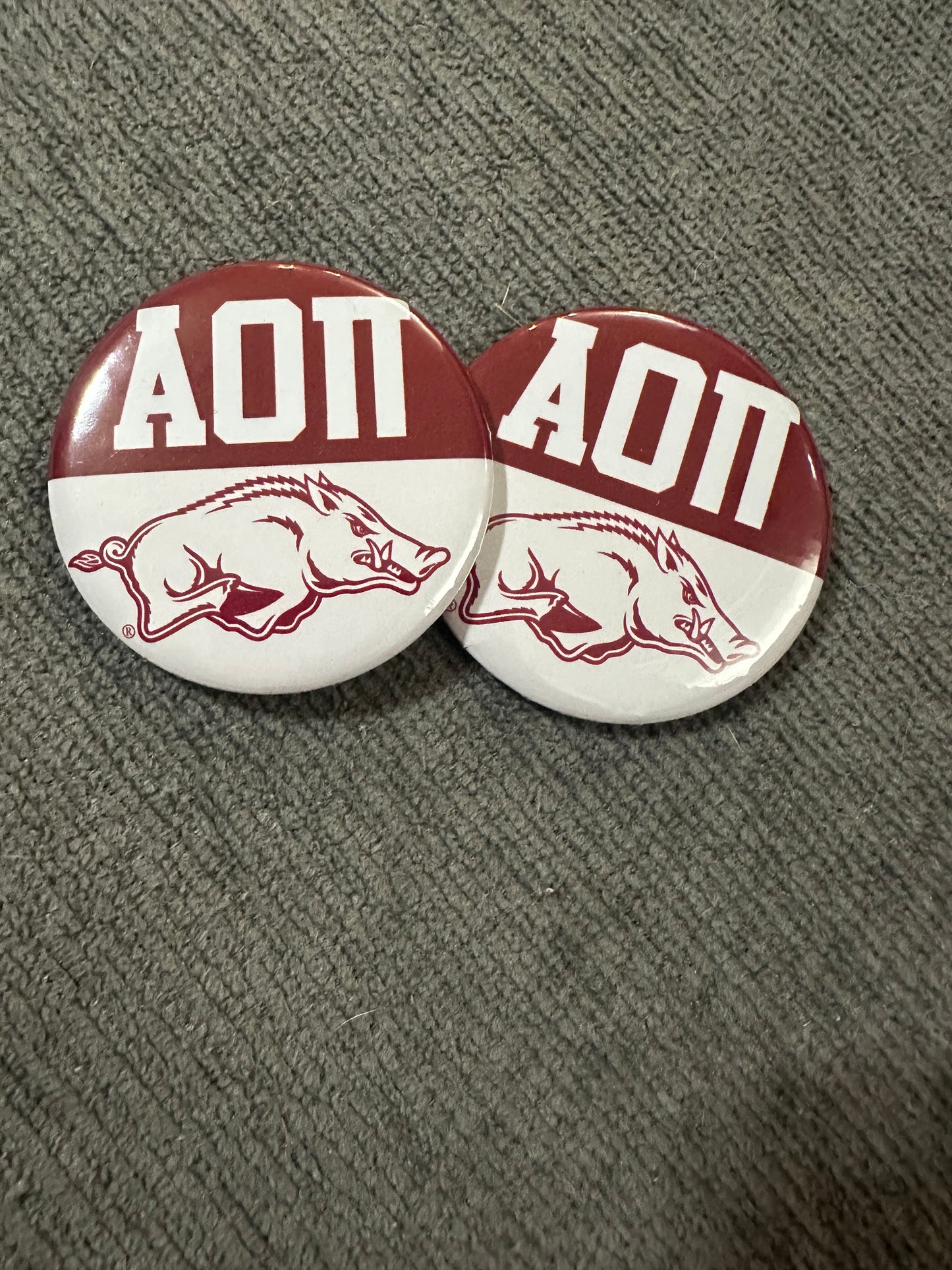 AOII razorback