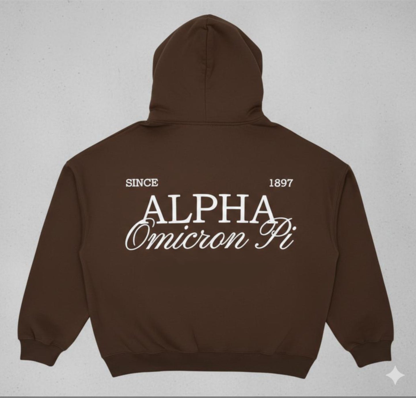 Brown AOII hoodie